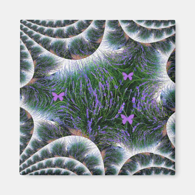 Imã Belo Jardim Lavanda....... (Frente)