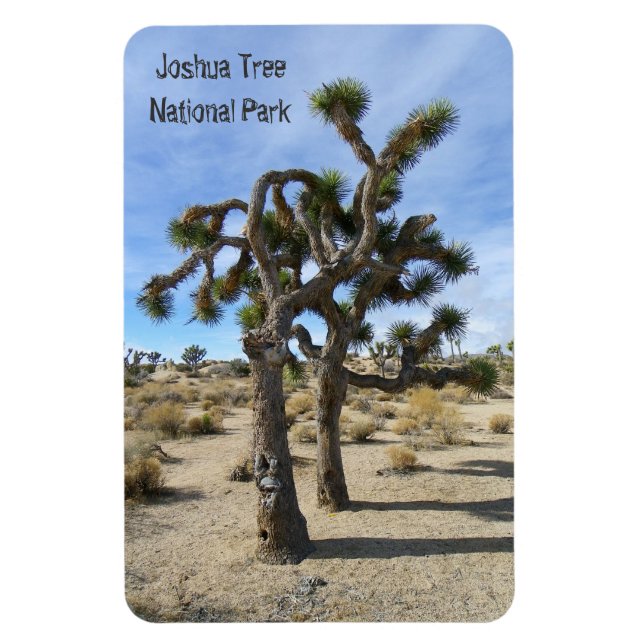 Ímã Belo Joshua Tree Premium Magnet! (Vertical)
