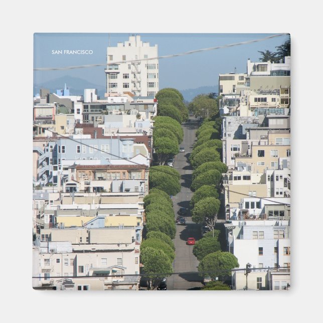 Imã Belo Magnet São Francisco! (Frente)