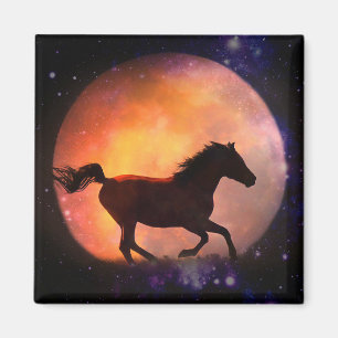 Imã Belo Magneto de Arte de Cavalo