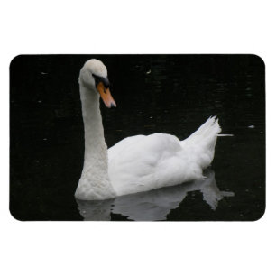 Ímã Belo Magneto Premium Swan Branco