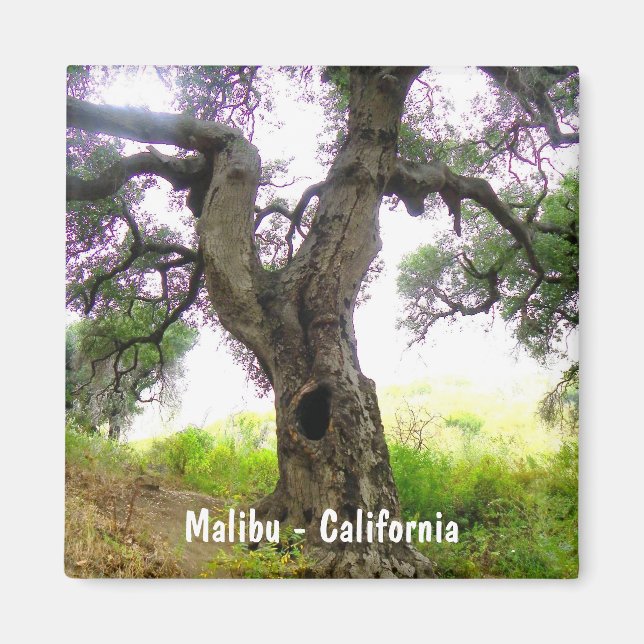 Imã Belo Malibu Magnet! (Frente)