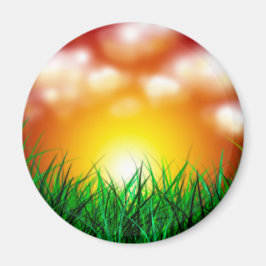 Imã Belo nascer do sol sobre um campo de grama