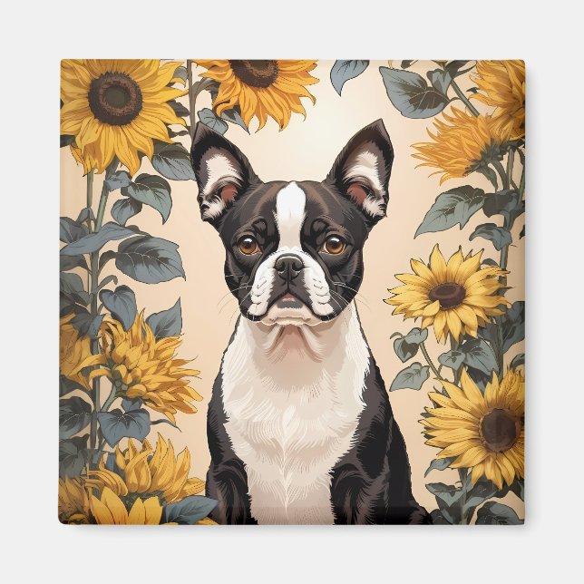 Imã Belo Sol Amarelo de Boston Terrier (Frente)