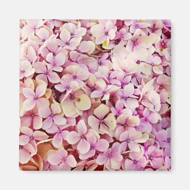 Imã Belos Flores de Hydrangea (Frente)