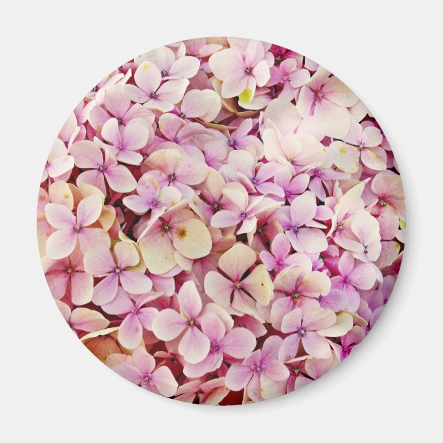 Imã Belos Flores de Hydrangea (Frente)