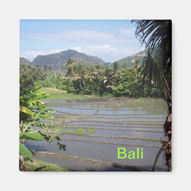 Imã Belos polos de arroz Bali (Frente)