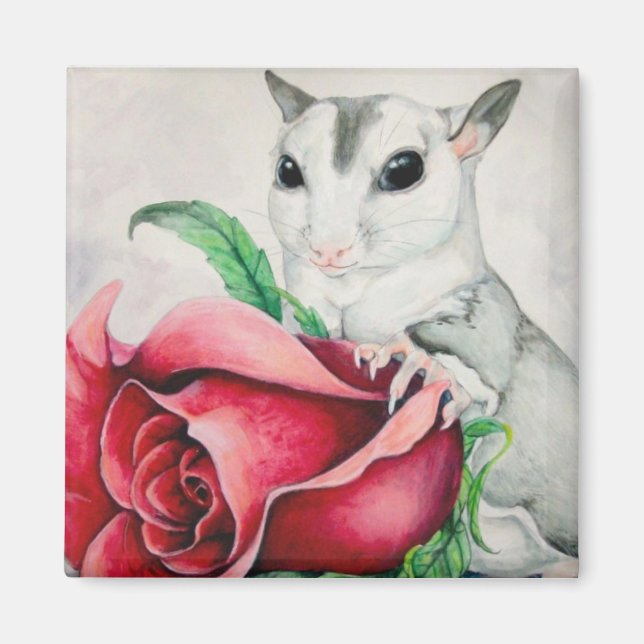 Imã bemino (Frente)