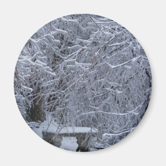 Imã Bench na neve