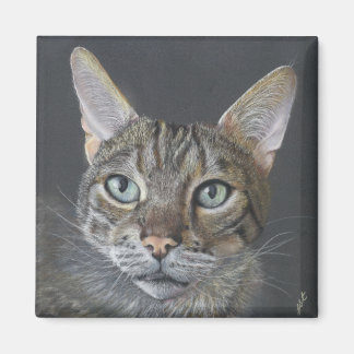 Imã Bengal Cat magnet
