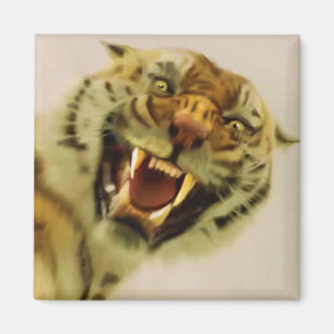 Imã Bengal Tiger Wildlife Big Cat Lover Foto