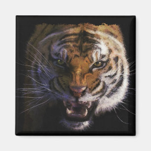 Imã Bengal Tiger Wildlife Big Cat Lover Foto