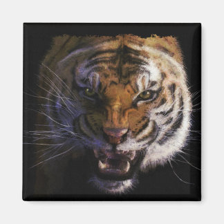 Imã Bengal Tiger Wildlife Big Cat Lover Foto