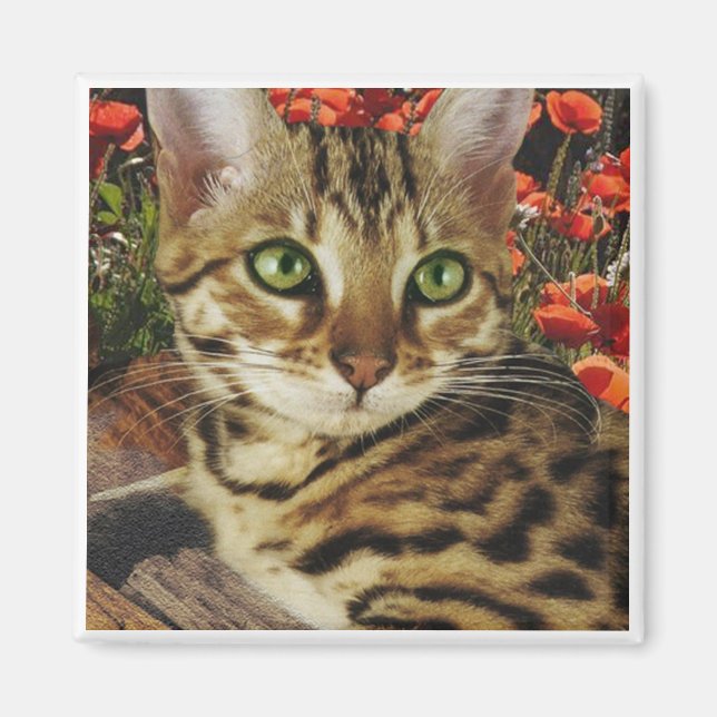 Imã Bengala Magnets (Frente)