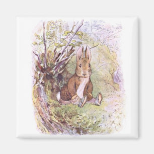 Imã Benjamin Bunny (por Beatrix Potter)