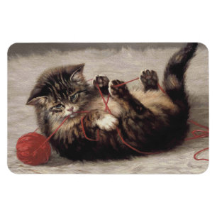 Ímã Berço de Gato, Um Gato Brincando com Novelo de Lin