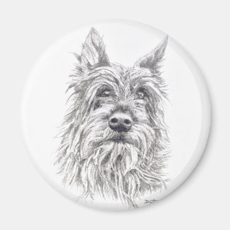 Imã Berger Picard Magnet