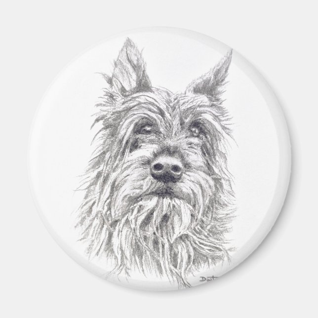 Imã Berger Picard Magnet (Frente)