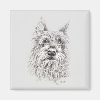 Imã Berger Picard Magnet