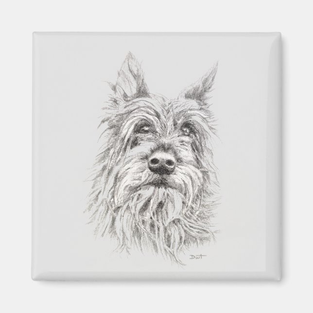 Imã Berger Picard Magnet (Frente)