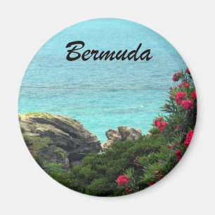 Imã Bermuda