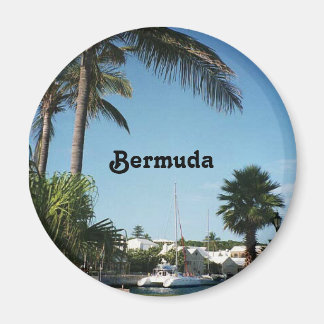 Imã Bermuda Magnet