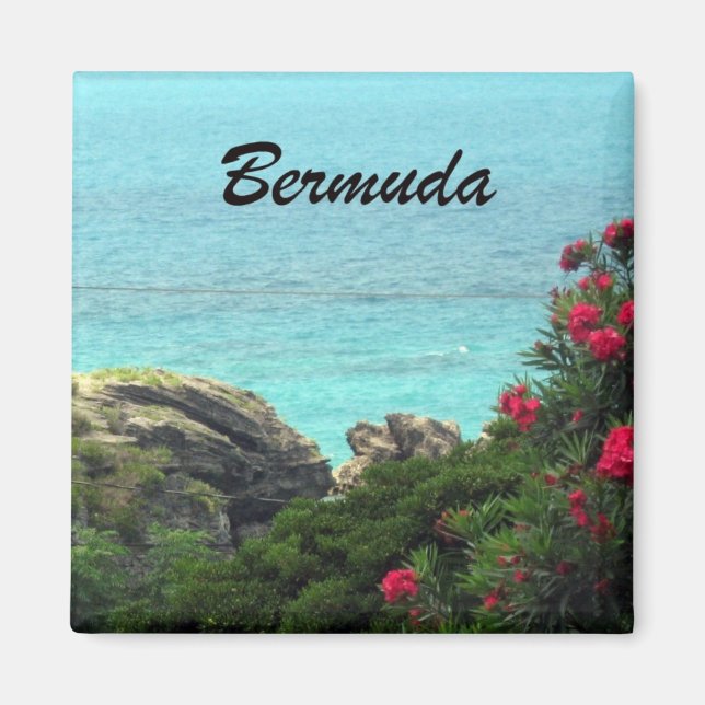 Imã Bermudas (Frente)