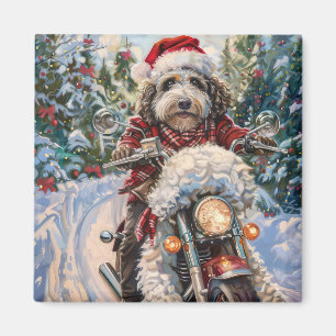 Imã Bernedoodle Dog Andando na Motocicleta Natal