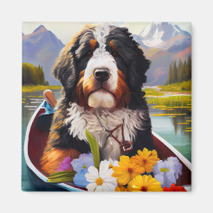 Imã Bernedoodle em um remo: Uma aventura cêntrica