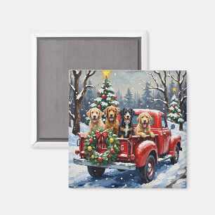 Imã Bernedoodle Natal Caminhão Vermelho Férias