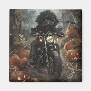 Imã Bernedoodle Pilotando Motocicleta Halloween Assust