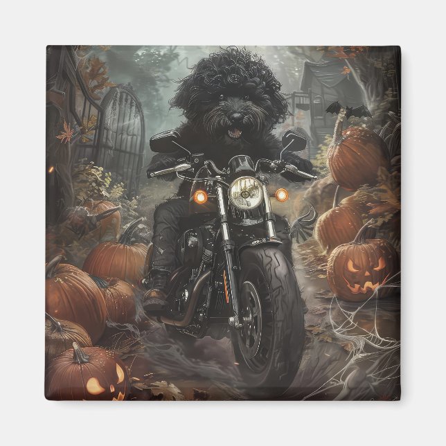 Imã Bernedoodle Pilotando Motocicleta Halloween Assust (Frente)