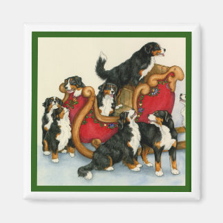 Imã Berners em Sleigh