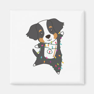 Imã Bernese Feliz Natal Cães Felizes