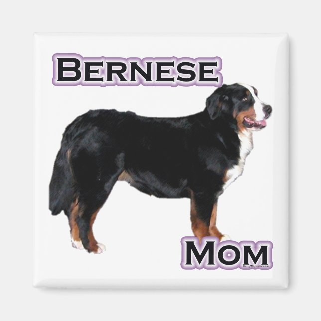 Imã Bernese Mãe 4 - Magnet (Frente)