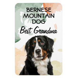 Ímã Bernese Mountain Dog Melhor Magneta