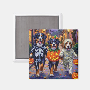 Imã Bernese Mountain Pedindo Doces no Halloween