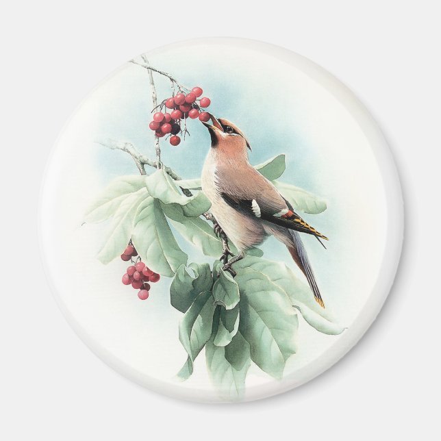 Imã Berries Para Comer (Frente)