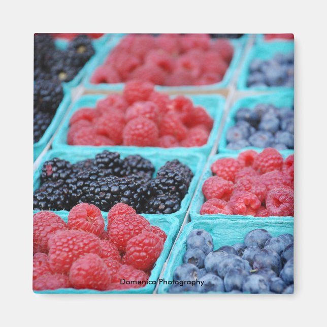 Imã Berry Magnet (Frente)