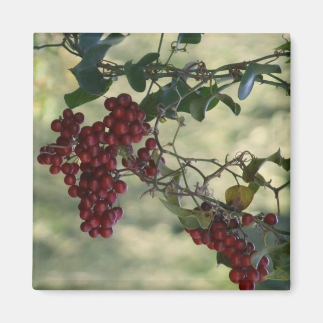 Imã Berry Magnet (Frente)