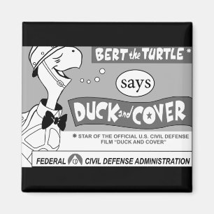 Imã Bert que a tartaruga diz