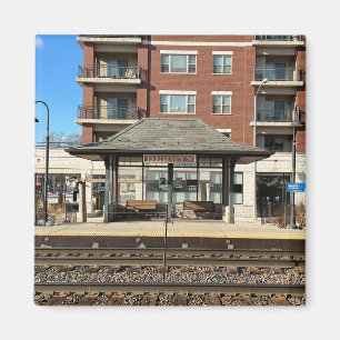 Imã Berwyn Illinois