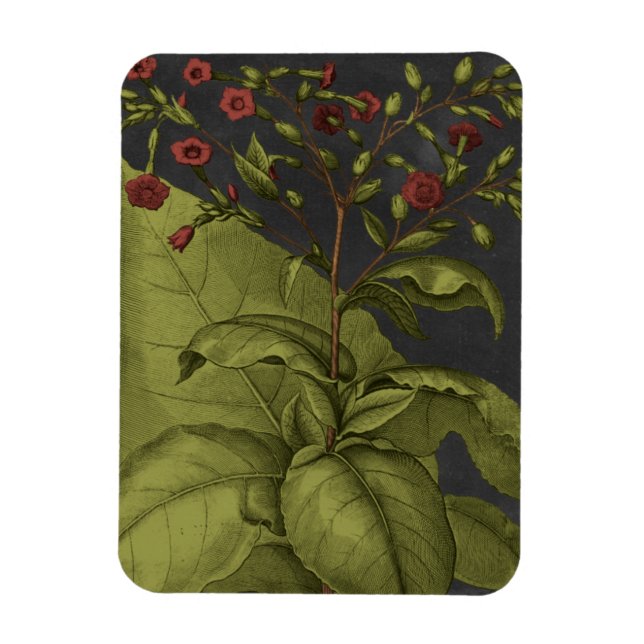 Ímã Besler Dramatique I (Vertical)