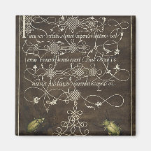 Besouro e escaravelho de Mira Calligraphiae