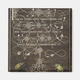 Imã Besouro e escaravelho de Mira Calligraphiae