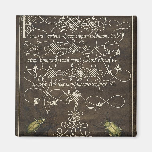 Imã Besouro e escaravelho de Mira Calligraphiae (Frente)