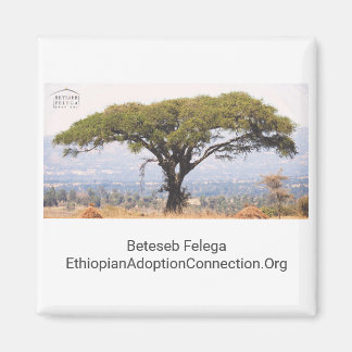 Imã Beteseb Felega Kitchen Magnet