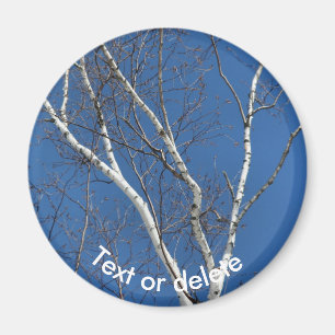 Imã Bétula de papel branco céu azul natureza personali