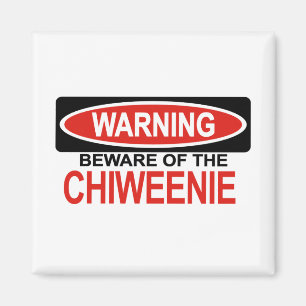 Imã Beware de Chiweenie