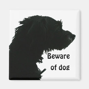 Imã Beware do cão